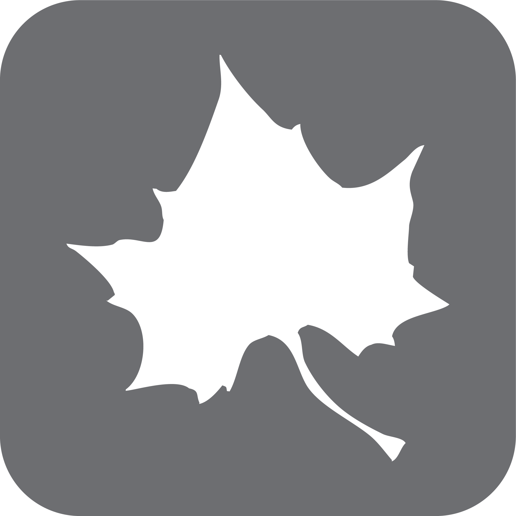 Leaf icon